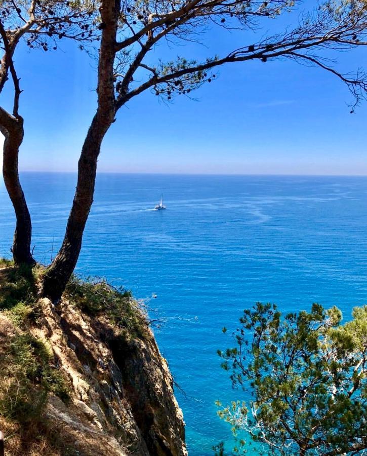 Apartamento Tossa De Mar Dış mekan fotoğraf