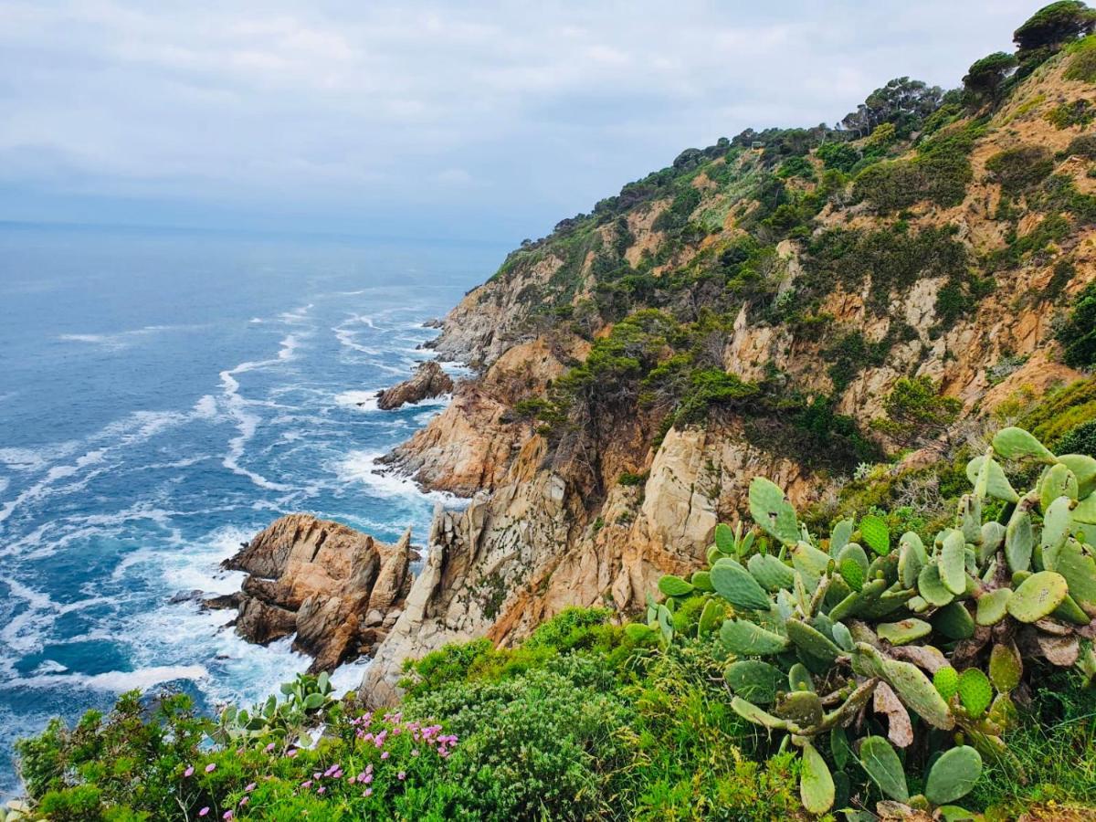Apartamento Tossa De Mar Dış mekan fotoğraf