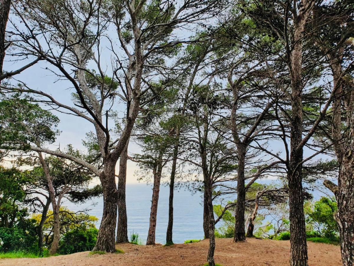 Apartamento Tossa De Mar Dış mekan fotoğraf