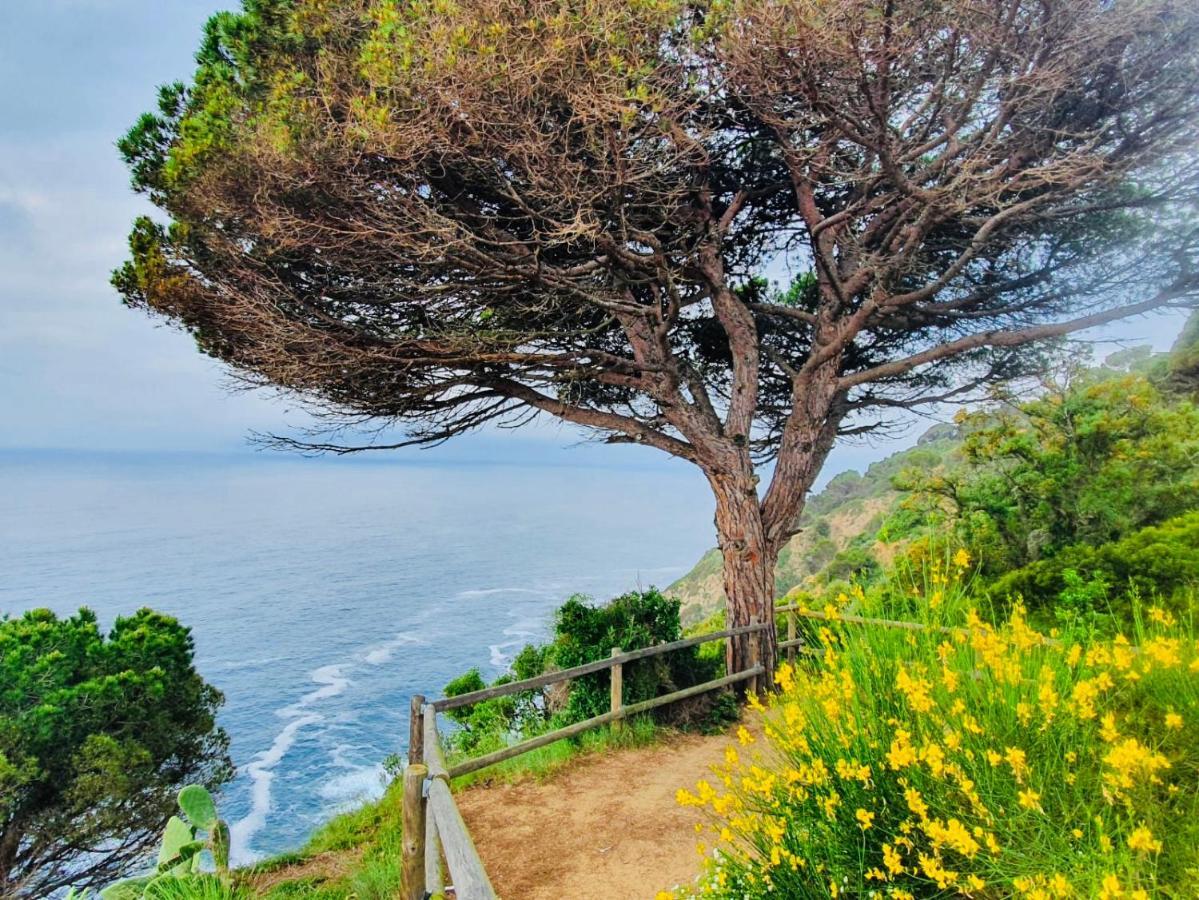 Apartamento Tossa De Mar Dış mekan fotoğraf